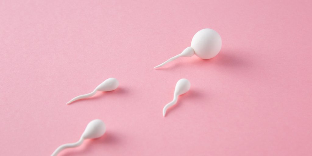 Cara Menjaga Kualitas Sperma Untuk Promil Panduan Lengkap Menuju Kesuburan Optimal