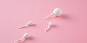 Cara Menjaga Kualitas Sperma Untuk Promil Panduan Lengkap Menuju Kesuburan Optimal