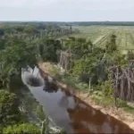 Kerusakan Ekologis Masif Di Pelalawan Sempadan Anak Sungai Nilo Terancam Akibat Pelanggaran Korporasi Sawit Potensi Kerugian Ratusan Miliar Terkuak