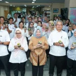 Lensakapuas Com