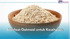 Apa Manfaat Oatmeal Untuk Sarapan