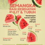 Apakah Buah Semangka Baik Untuk Diet