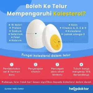 Apakah Telur Rebus Aman Untuk Diet