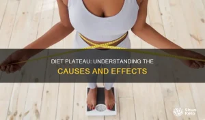 Bagaimana Cara Mengatasi Plateau Saat Diet