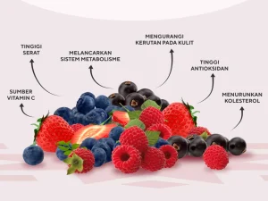 Menguak Segudang Khasiat Apa Manfaat Buah Berry Untuk Kesehatan Tubuh
