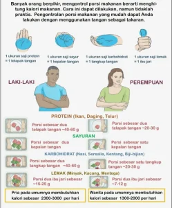 Panduan Lengkap Bagaimana Cara Mengontrol Porsi Makan Untuk Kesehatan Optimal